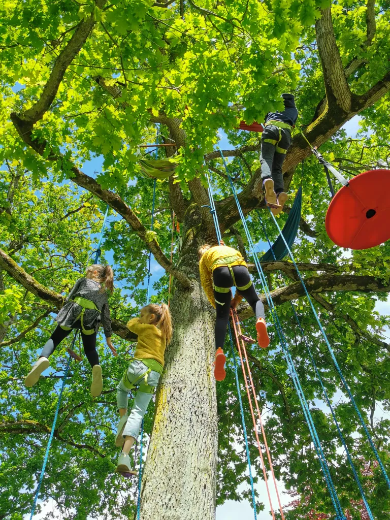 Technique cordes lianes grimpe d'arbre - remontée sur corde avec nœuds autobloquants